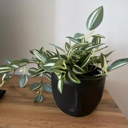 Natasa Appartement Novi Sad