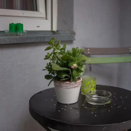 Apartament Natasa Nowy Sad
